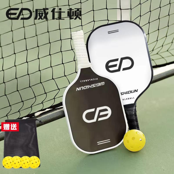 Ice-Fire Themed T300 Carbon Fiber Pickleball Paddle for Outdoor Sports (with Carry Bag), Suitable for Beginners