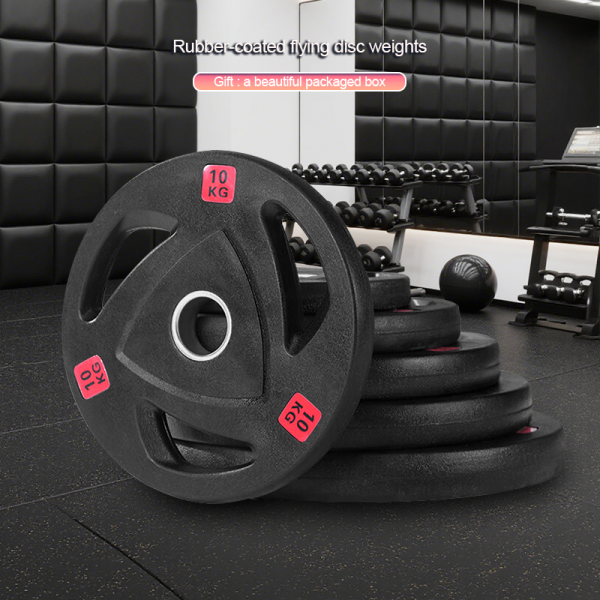 Home and Gym: Rubber-Coated Flying Disc Weights, Fitness Equipment Barbell Plates